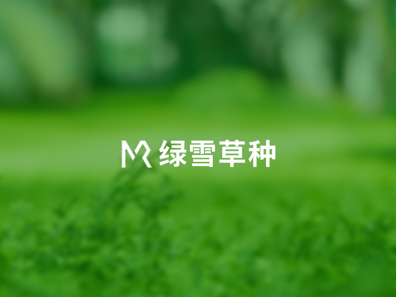 綠雪草種響應(yīng)式營(yíng)銷型網(wǎng)站